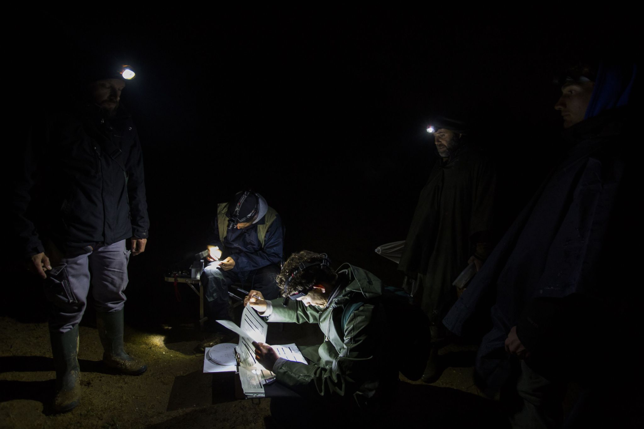 The team of biologists in the field © David Tatin Orbisterre
